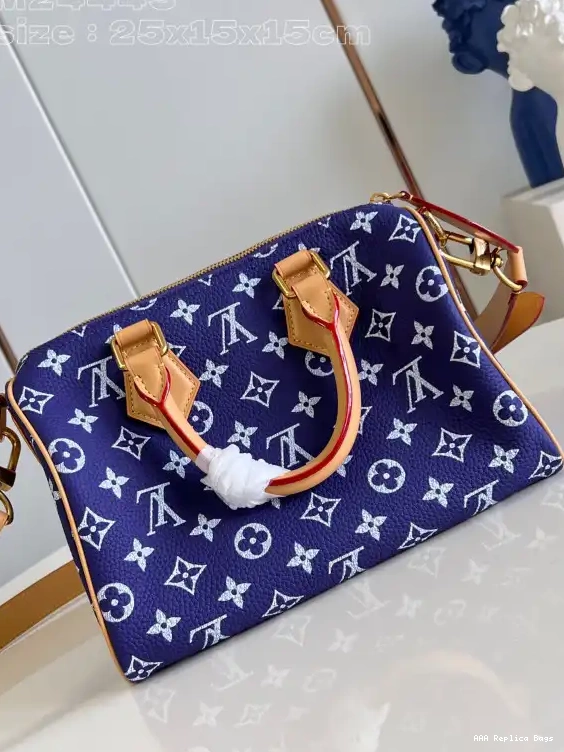 Aaa replica bags Vuitton 25 SPEEDY Louis 0603